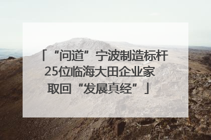 “问道”宁波制造标杆 25位临海大田企业家取回“发展真经”