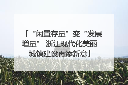 “闲置存量”变“发展增量” 浙江现代化美丽城镇建设再添新意