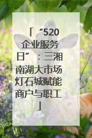“520 企业服务日”：三湘南湖大市场灯石城赋能商户与职工