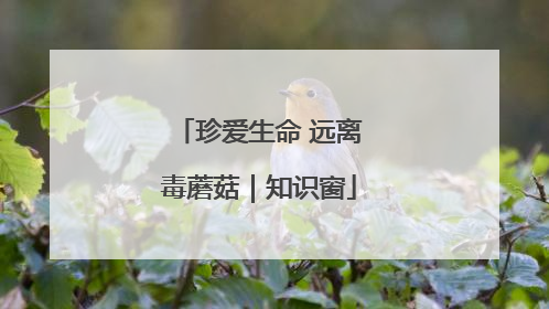 珍爱生命 远离毒蘑菇｜知识窗