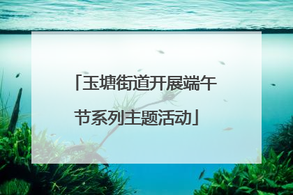 玉塘街道开展端午节系列主题活动