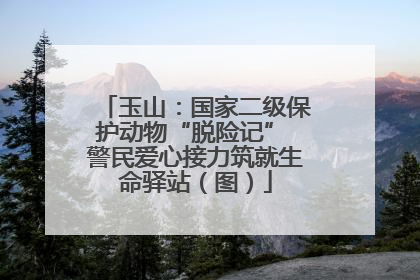 玉山：国家二级保护动物“脱险记” 警民爱心接力筑就生命驿站（图）