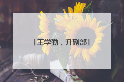 王学勤，升副部