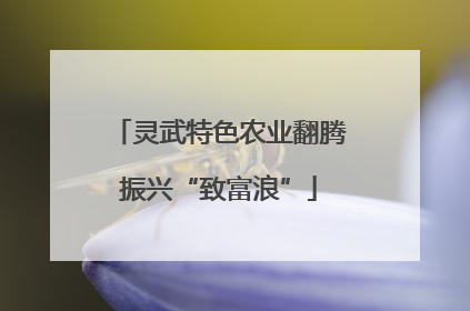 灵武特色农业翻腾振兴“致富浪”