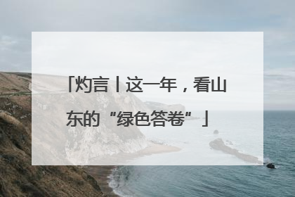 灼言丨这一年，看山东的“绿色答卷”