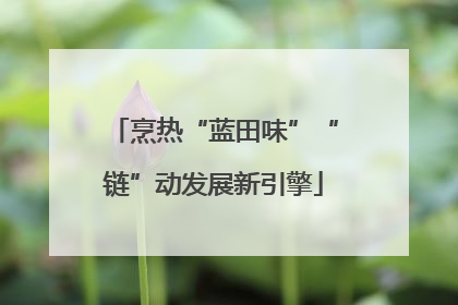 烹热“蓝田味”“链”动发展新引擎