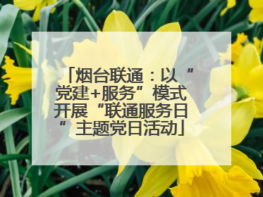 烟台联通：以“党建+服务”模式开展“联通服务日”主题党日活动