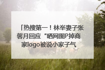 热搜第一！林峯妻子张馨月回应“晒网图P掉商家logo被说小家子气”：没那么多想法，可能有人恶意解读