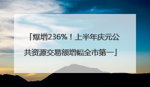 爆增236%！上半年庆元公共资源交易额增幅全市第一
