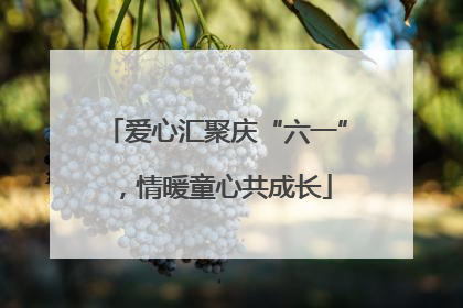 爱心汇聚庆“六一”，情暖童心共成长