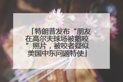 特朗普发布“朋友在高尔夫球场被鹅咬”照片，被咬者疑似美国中东问题特使