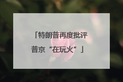 特朗普再度批评普京“在玩火”