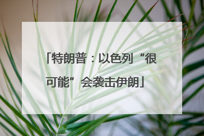 特朗普：以色列“很可能”会袭击伊朗