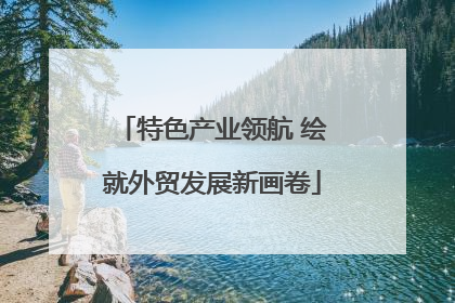 特色产业领航 绘就外贸发展新画卷