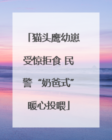 猫头鹰幼崽受惊拒食 民警“奶爸式”暖心投喂