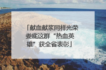 献血献浆同样光荣 娄底这群“热血英雄”获全省表彰
