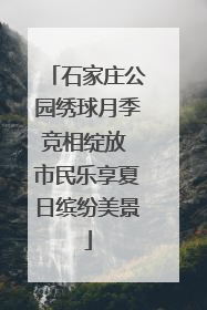 石家庄公园绣球月季竞相绽放 市民乐享夏日缤纷美景