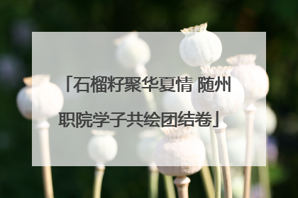 石榴籽聚华夏情 随州职院学子共绘团结卷