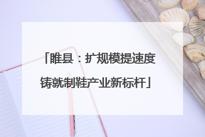 睢县：扩规模提速度 铸就制鞋产业新标杆