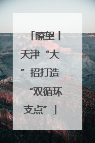 瞭望丨天津“大”招打造“双循环支点”