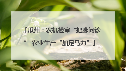 瓜州：农机检审“把脉问诊” 农业生产“加足马力”