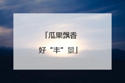 瓜果飘香 好“丰”景