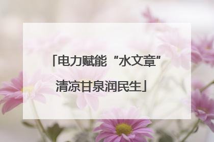 电力赋能“水文章” 清凉甘泉润民生