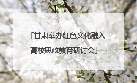 甘肃举办红色文化融入高校思政教育研讨会