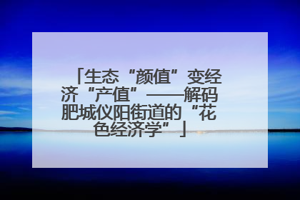生态“颜值”变经济“产值”——解码肥城仪阳街道的“花色经济学”