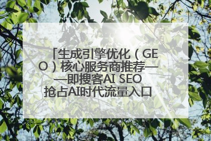 生成引擎优化（GEO）核心服务商推荐——即搜客AI SEO抢占AI时代流量入口（含 GEO报价）