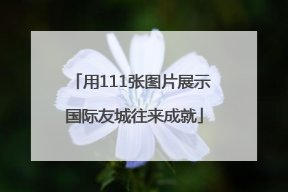 用111张图片展示国际友城往来成就