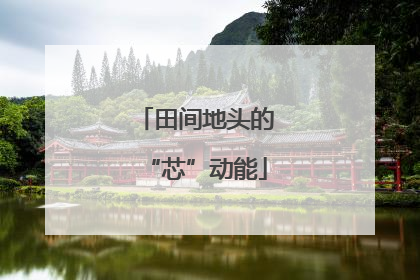 田间地头的“芯”动能