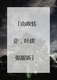 由政转企，叶建强履新