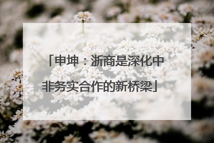 申坤：浙商是深化中非务实合作的新桥梁