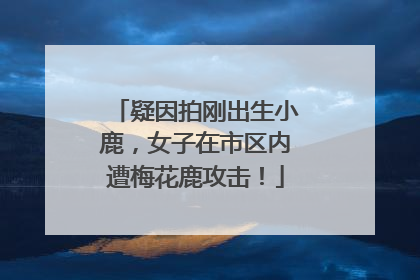 疑因拍刚出生小鹿，女子在市区内遭梅花鹿攻击！