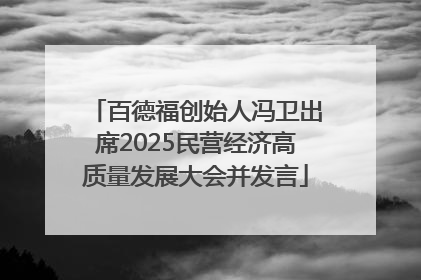 百德福创始人冯卫出席2025民营经济高质量发展大会并发言