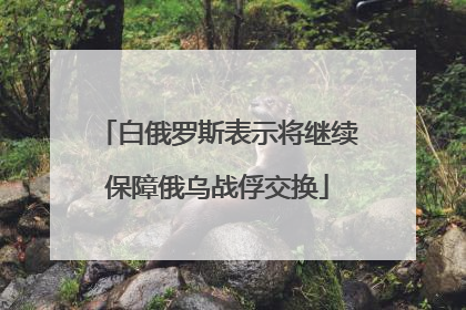 白俄罗斯表示将继续保障俄乌战俘交换