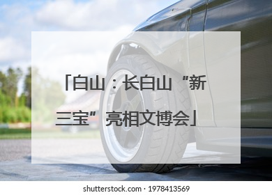 白山：长白山“新三宝”亮相文博会