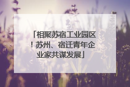 相聚苏宿工业园区！苏州、宿迁青年企业家共谋发展