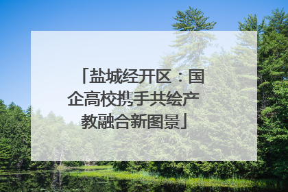 盐城经开区：国企高校携手共绘产教融合新图景