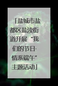 盐城市盐都区盐渎街道开展“我们的节日·情系端午”主题活动