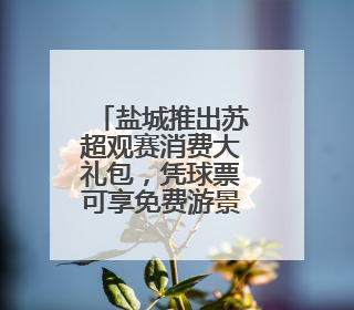 盐城推出苏超观赛消费大礼包，凭球票可享免费游景区、抽汽车大奖