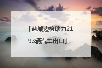 盐城边检助力2193辆汽车出口