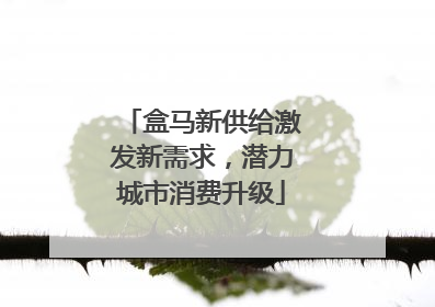 盒马新供给激发新需求，潜力城市消费升级