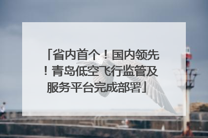 省内首个！国内领先！青岛低空飞行监管及服务平台完成部署