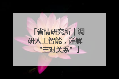 省情研究所｜调研人工智能，详解“三对关系”