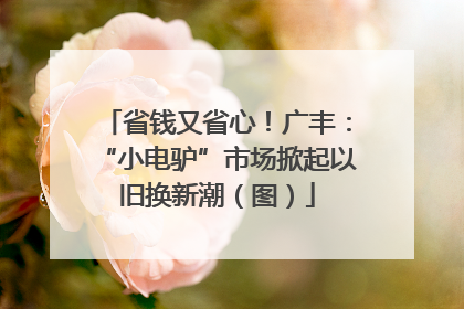 省钱又省心！广丰：“小电驴”市场掀起以旧换新潮（图）
