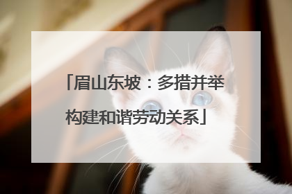 眉山东坡：多措并举构建和谐劳动关系