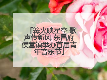 篝火映星空 歌声传新风 东昌府侯营镇举办首届青年音乐节