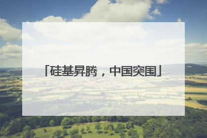 硅基昇腾，中国突围